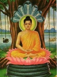 buddha