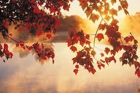 fall-leaves-lake