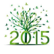 newyear2015