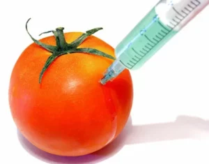 Read more about the article The Dangers of GMO Foods: A Likely Cause of Many of Today’s Health Problems