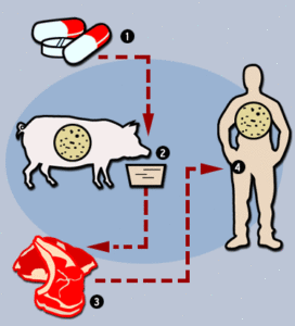 Read more about the article Antibiotics — Is There Another Way?