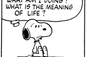 What Is the Meaning of Life?