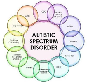 Read more about the article Autism with Chiari Malformation