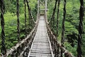 The Whole World Is a Very Narrow Bridge