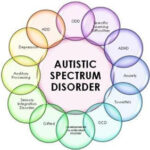 Autism_Spectrum_Disorder